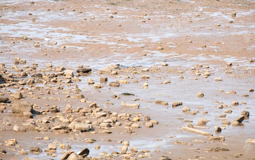Preview: Exposed Stones And Rocks At Low Tide