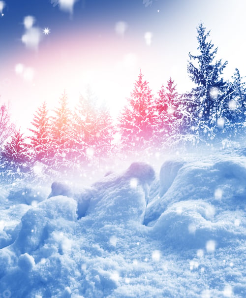 Preview: Frozen Winter Forest With Snow Covered Trees. Outdoor
