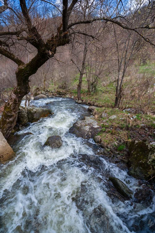 Preview: Forest Landscape With Mountain River At Early Spring, Armenia