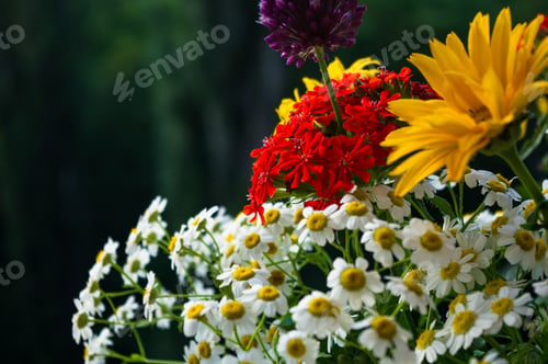 Preview: A Bouquet Of Bright Spring Flowers Of Various Types