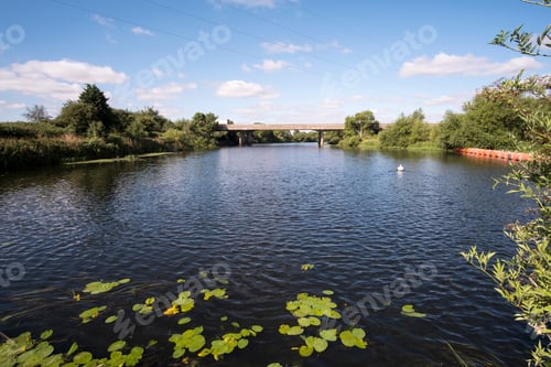 Preview: Summer River Scene Uk