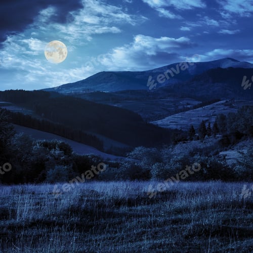 Preview: Meadow On Hillside Near Forest In Mountains At Night In Full Moon Light