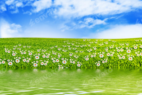 Preview: Meadow With Green Grass On A Background Of Blue Sky With Clouds