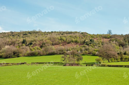 Preview: Springtime Agricultural Landscape In The British Countryside.