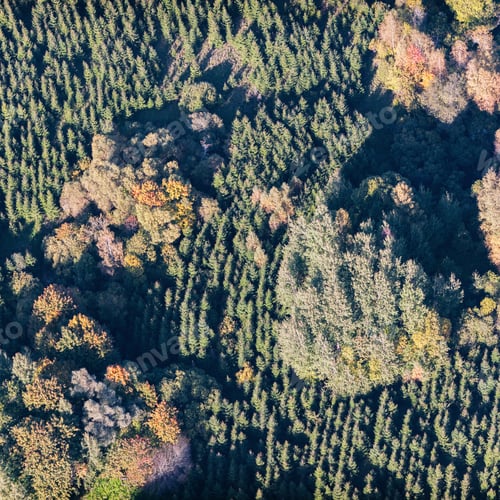 Preview: Aerial View Over The Bushes And Trees In Autumn