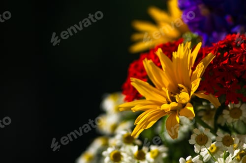 Preview: A Bouquet Of Bright Spring Flowers Of Various Types