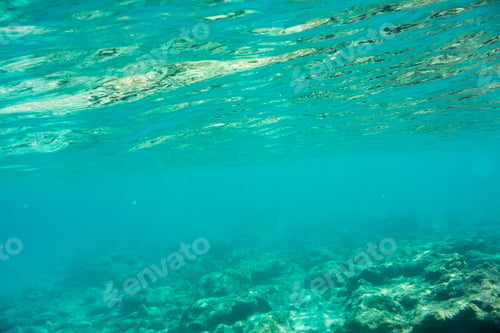 Preview: Underwater Texture And Fauna In Ionian Sea, Zakynthos, Greece