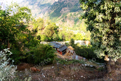 Preview: Aerial View Of Beautiful Green And Colorful Rice Field Terraces, Himalayas, Nepal On Annapurna