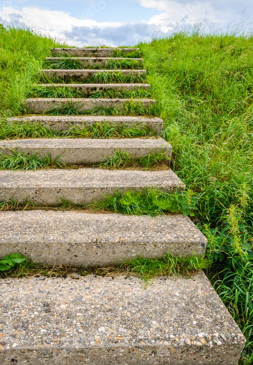 Preview: Concrete Stairs In A Dutch Dike Covered With Fresh Green Grass On A Sunny Day In The Summer Season.