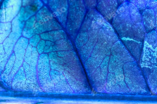 Preview: Codiaeum Leaves With Beautiful Vein And Details - Inverted Colors