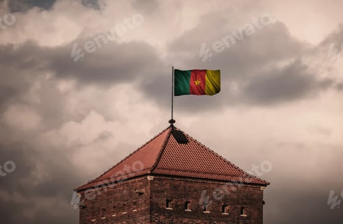 Preview: Flag With Original Proportions. Flag Of The Cameroon
