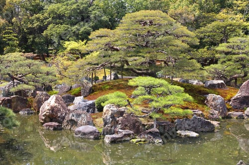 Preview: Japanese Garden In Kyoto, Japan. Ninomaru Garden Of Nijo Castle.