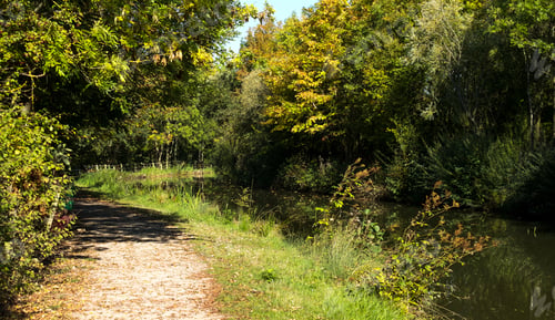Preview: Canal Towpath In Early Autumn