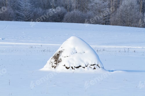 Preview: Frosty And Snowy Winter In Countryside