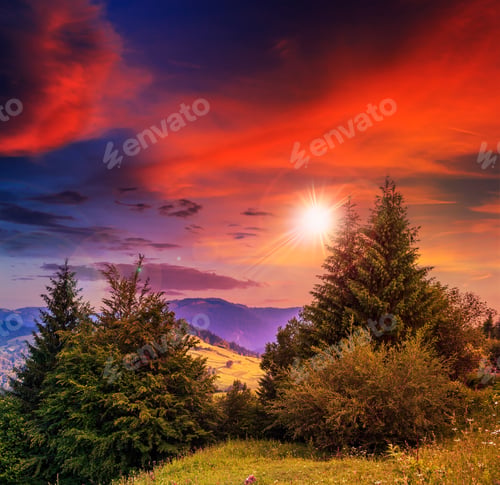 Preview: Coniferous Forest On A Steep Mountain Slope On Sunset