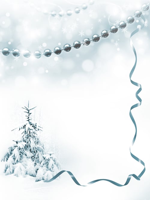 Visualização: Floresta de inverno. Paisagem de inverno.