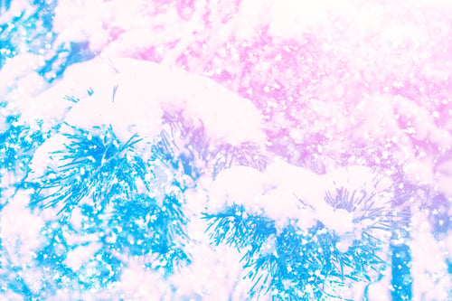 Preview: Blurred Background. Frozen Winter Forest With Snow Covered Trees.