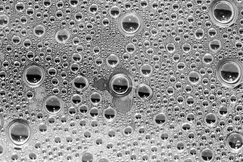 Preview: Black And White Water Drops Inside The Greenhouse - Condensation On Plastic Surface
