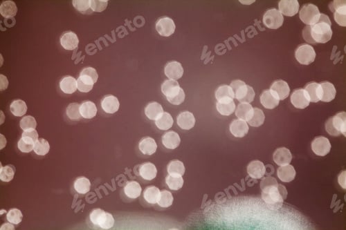 Preview: Abstract Background With Bokeh. Defocused Lights And Shadow, Christmas Lights
