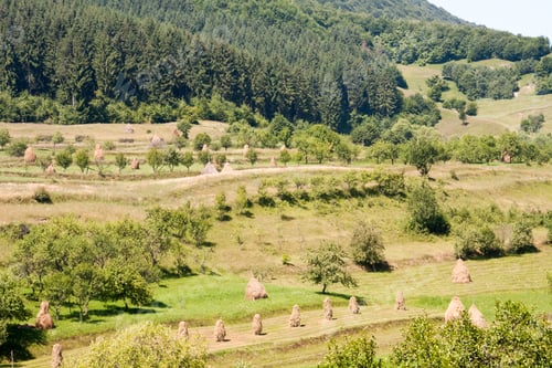 Preview: Mountain Landscape In Maramures, Romania