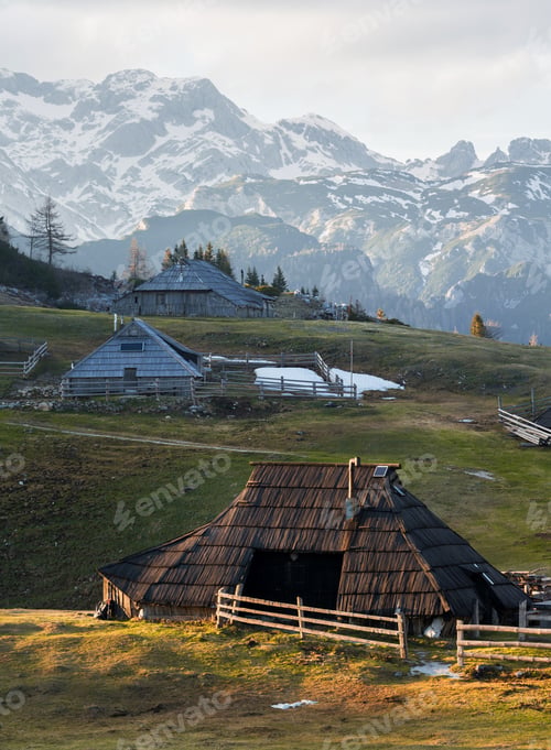Preview: Spring Crocus At Velika Planina In Slovenia With Old Shepherd Cottages All Around.
