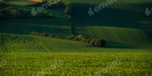 Preview: South Moravia Landscape And Farmland At Sunrise