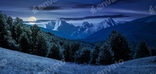 Preview: Composite Summer Landscape In Mountains At Night In Full Moon Light. Perfect Countryside Scenery