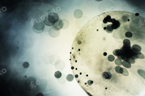 Preview: Abstract Underwater Games With Bubbles, Jelly Balls And Light