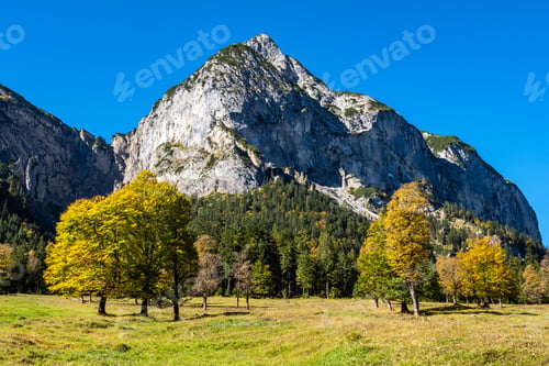 Preview: Colorful Maple Tree At Grosser Ahornboden With Impressive Karwendel Mountains In The Background