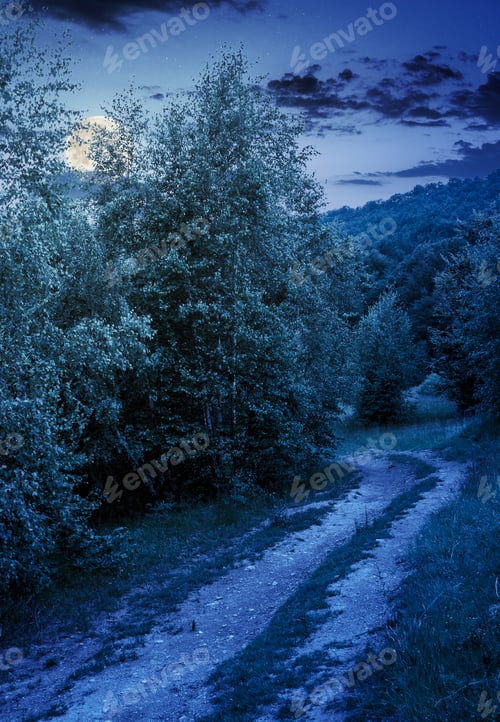 Preview: Forest Road Among Tall Trees With Green Foliage. Beautiful Nature Scenery In Springtime