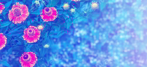 Preview: Colorful Bright Flowers Marigold Against The Background Of The Summer Landscape.