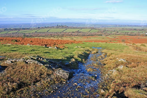 Preview: Stream On Dartmoor