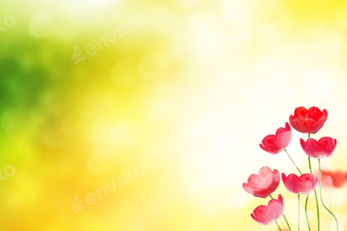 Preview: Natural Floral Background Of Spring Bright Flowers. Tulip