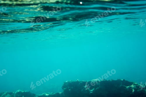 Preview: Underwater Texture And Fauna In Ionian Sea, Zakynthos, Greece