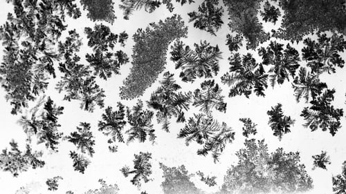 Preview: Ice Flowers On Glass - Texture
