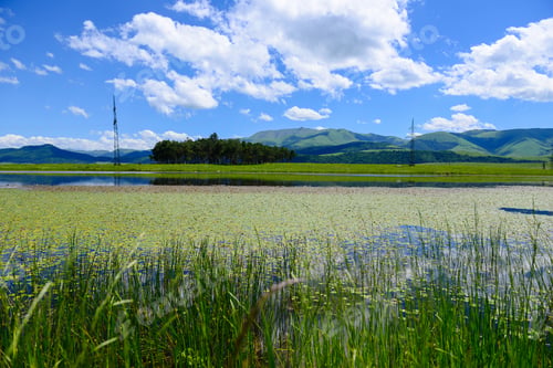 Preview: Beautiful Lake Landscape With Aquatic Plants,Armenia