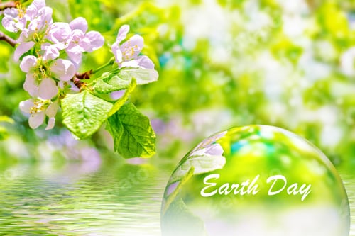Preview: Blossoming Branch Cherry. Bright Colorful Spring Flowers. Earth Day.