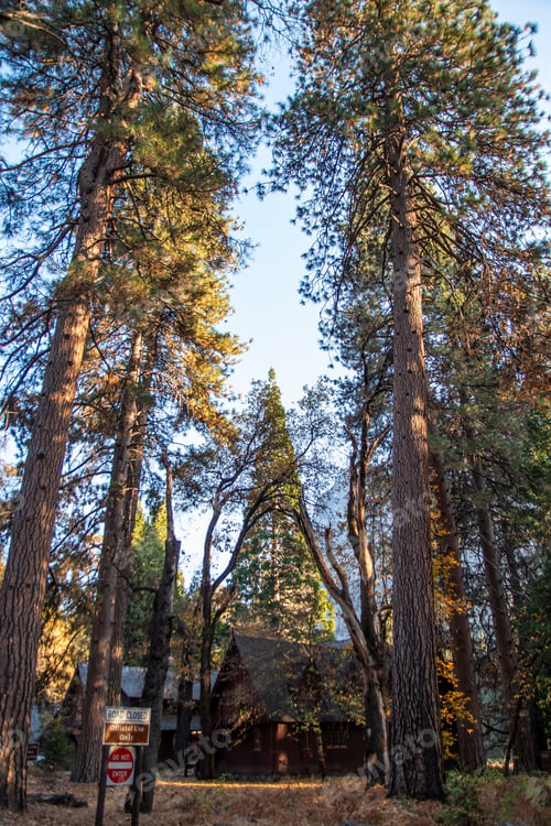 Preview: Tourist Area With Houses And Cars In Yosemite National Park. Usa, California, November 2018