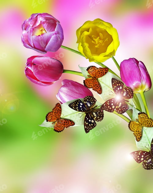 Preview: Pink Flowers Tulips
