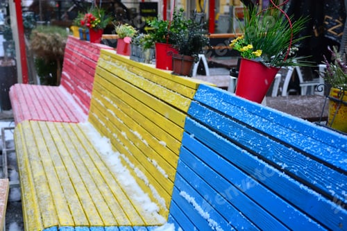 Preview: Flower Pots Near The Bench
