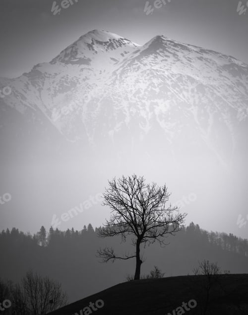 Preview: Trees And Mountains