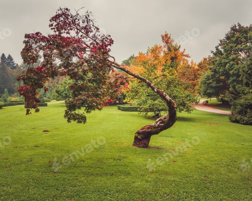Preview: Autumn Walk In The Park
