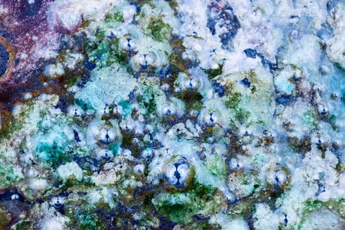 Preview: Abstract Composition With Mix Of Oil, Water And Colorful Ink. Pollution Concept