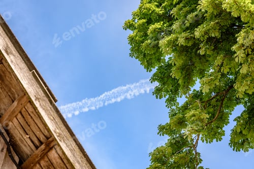 Preview: Plane Trails In The Sky In Forest.