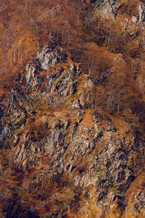 Preview: Landscape With Forest On A Mountain In Autumn Colors