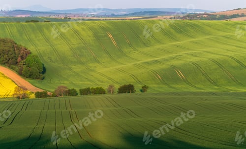 Preview: South Moravia Landscape And Farmland At Sunrise