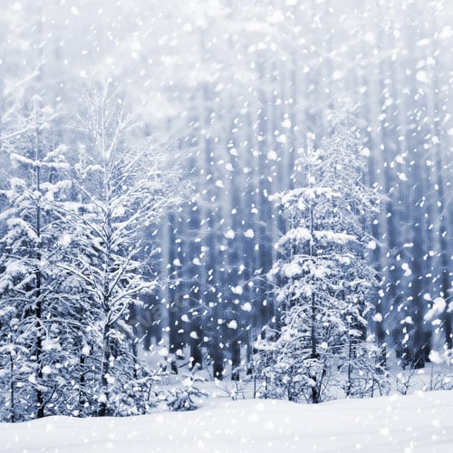 Preview: Winter. Snowfall. Photo.