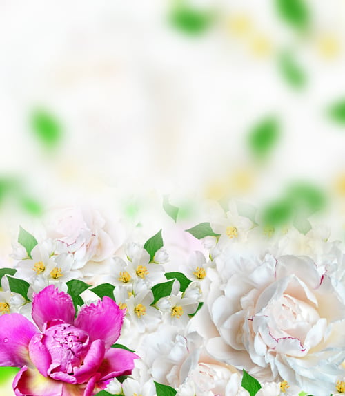 Preview: Spring Flowers Peonies And Jasmine