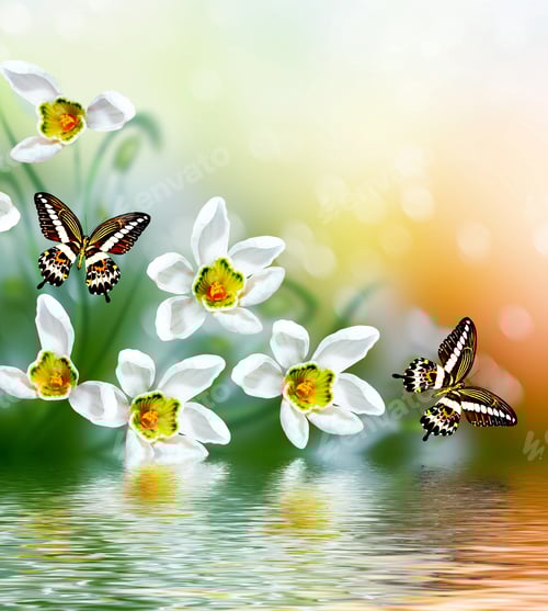 Preview: Spring Landscape. Flowers Snowdrops. Delicate Spring Flower. Butterfly