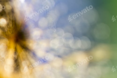 Preview: Natural, Colored Abstract Background With Bokeh